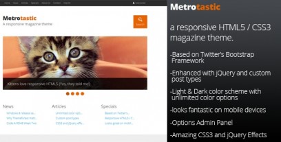 Metrotastic - Responsive Magazine Theme